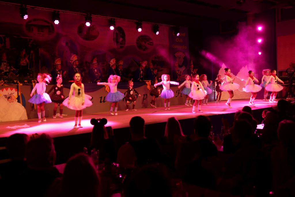 Prunksitzung_2023_396 - Kopie - Kopie - Kopie.jpg